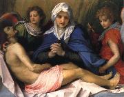 Andrea del Sarto Lamentation of Christ oil on canvas